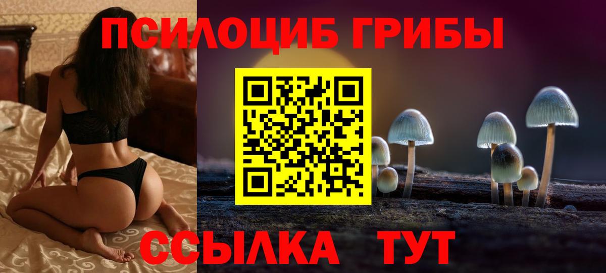 Псилоцибиновые грибы ЛСД  закладки  Вход с VPN  Зеленокумск  Псилоцибиновые грибы Cubensis 